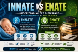 Innate vs Enate