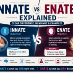 Innate vs enate explained
